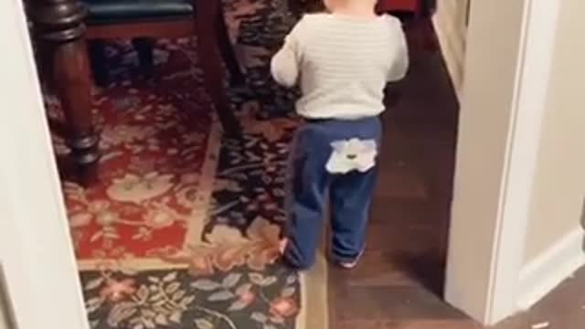 Baby Trying To Give The Dog Water