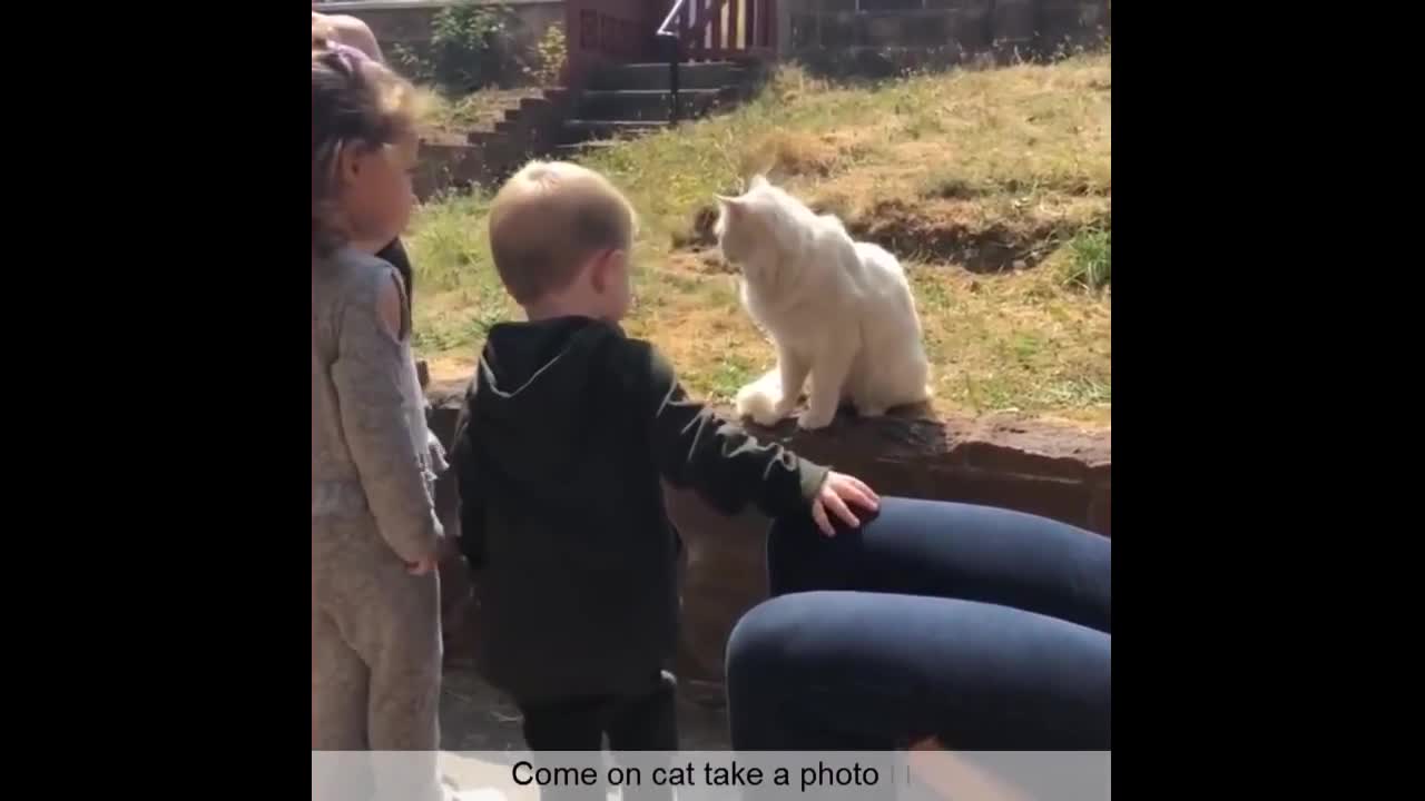funny video part-1