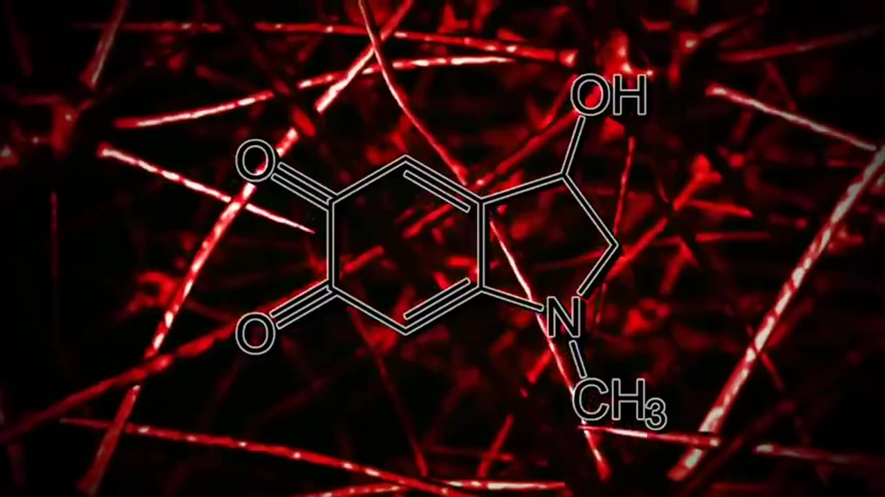 Summary of Adrenochrome