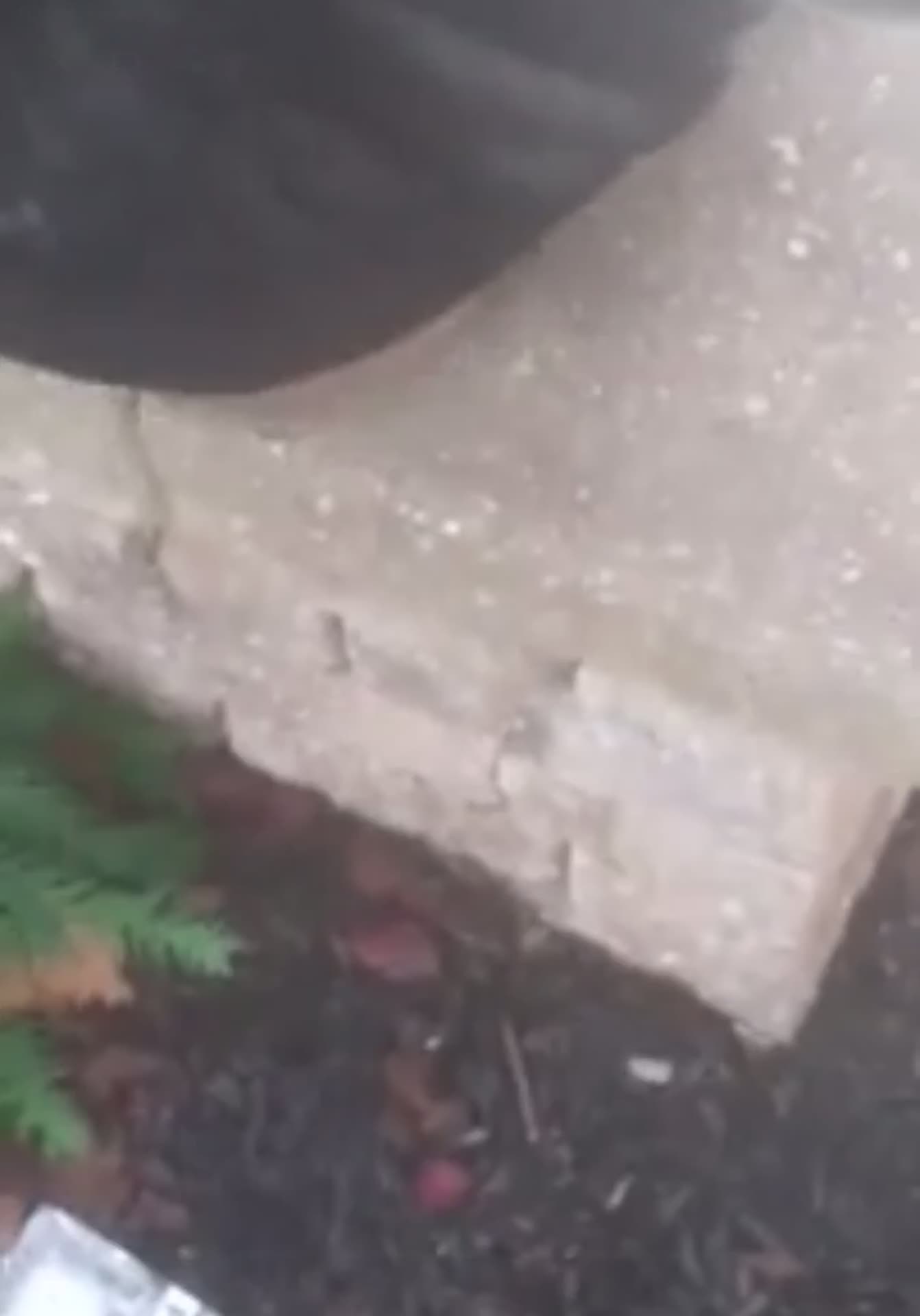 Black Lady Has Her Entire Thong Out (Part 2)