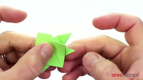 HOW DO YOU MAKE TURTLE ORIGAMI