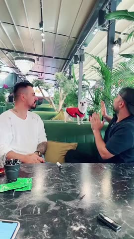 Funny dog_ Size doesn't matter when it comes to protecting your master 🥊