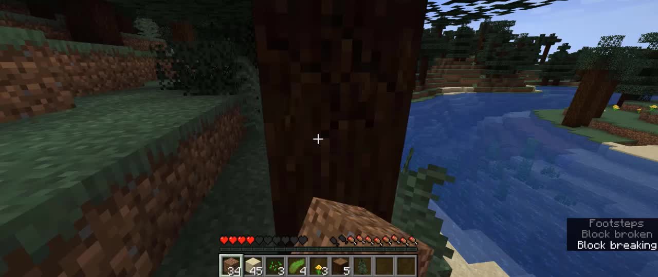 minecrafttiktokhacks_minecrafthacks_minecrafttiktok_shortsminecraft_1 (46)