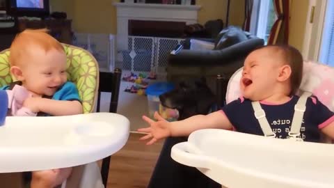 cute babies play with each other amazing funny video clip