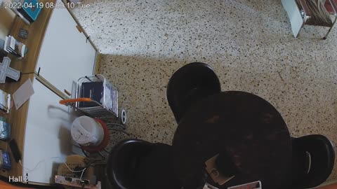 hallmid midnight 20220419