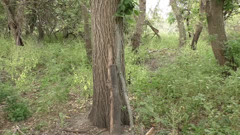 BUSHCRAFT TRIP With S.D. MOUNTAIN MAN (GOD WHO LISTENS - by Anika Shea)