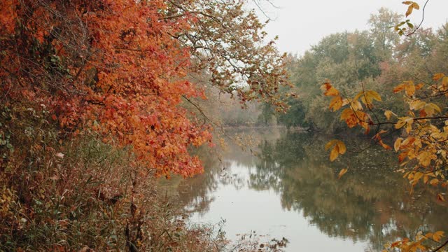 A Scenery of Peaceful and Quiet River