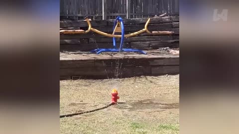 Funniest Moments Caught On Camera - Best Funny Videos