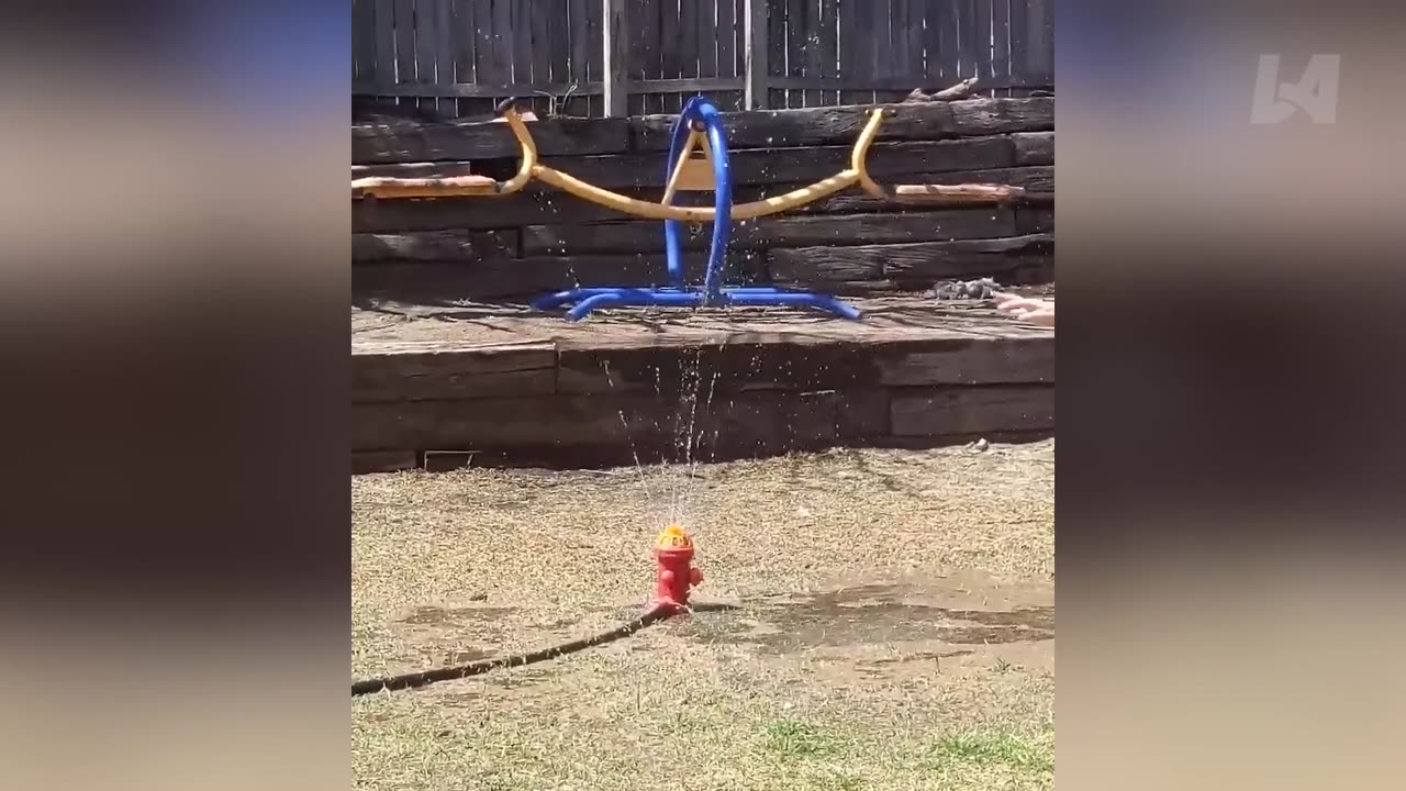 Funniest Moments Caught On Camera - Best Funny Videos