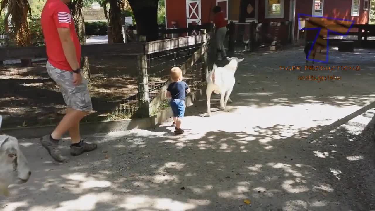 FORGET CATS! Funny KIDS vs ZOO ANIMALS are WAY FUNNIER! - TRY NOT TO LAUGH