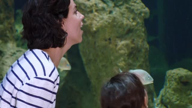 mother-and-daughter-watching-the-fishes-in-a-big-aquarium