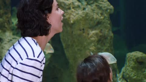 mother-and-daughter-watching-the-fishes-in-a-big-aquarium