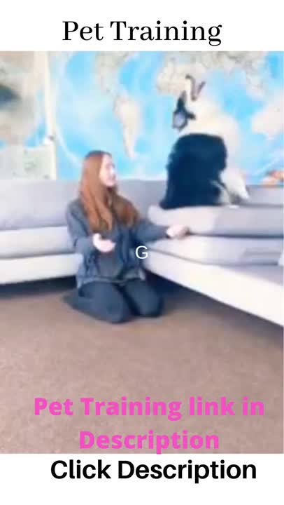 Pet Training #shorts #dog #cat #pets #funnypets #trainpets #totrain #petting #learn #pedigree #puppy