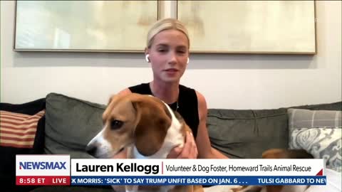 Organization is Rescuing Hundreds of Beagles from Fauci-funded Lab Experiments