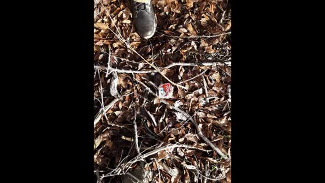 RITUAL SHOE TREES IN OREGON ON IDAHO LINE - WEST COAST HUMAN TRAFFICKING CORRIDOR UT WA CA MT WY NV