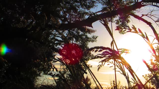 Morning Sun view video