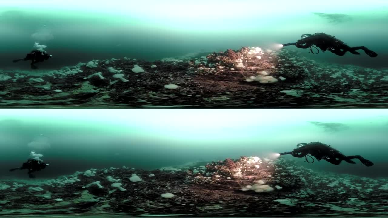 Dive with Octopuses and Eels in 360 3D! | Our Blue PlanetVR | BBC Earth