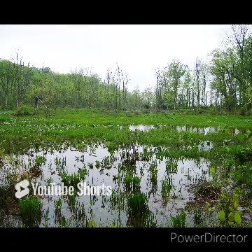 Mason neck state park