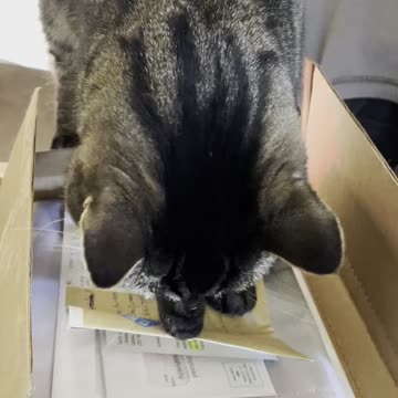 My package approval officer