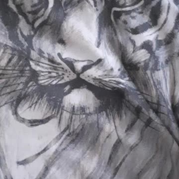 ROAR Tiger Emojions2