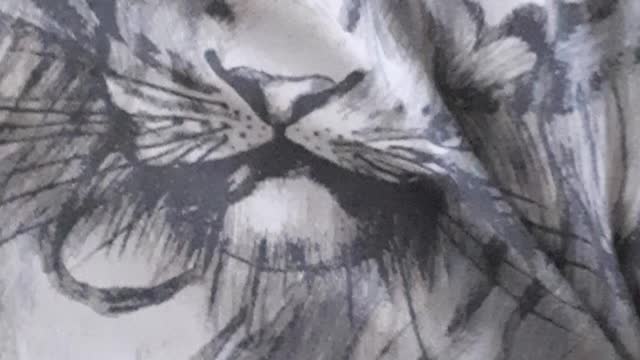 ROAR Tiger Emojions2