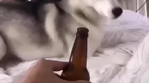 Come on, have a drink