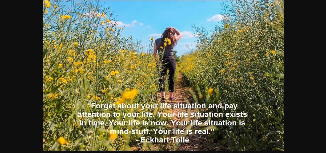 Soul of the EveryMan - Your LIFE is not your SITUATION