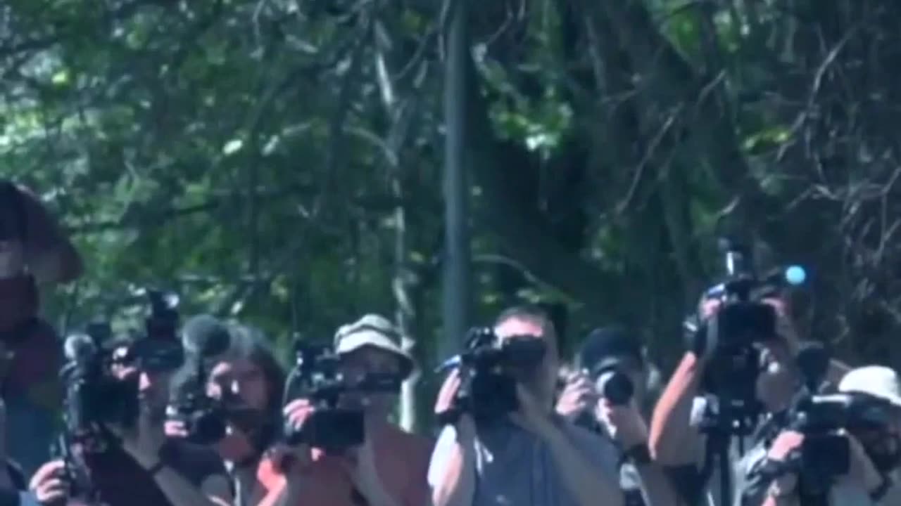 Unstoppable Hero Emerges to Save the Day: Prepare for Epic Battle!