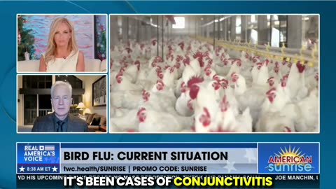 H5N1 Bird Flu Situation Update