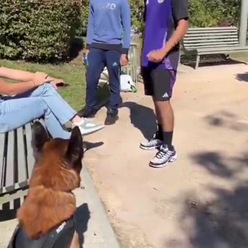 A French girl is harassed by two migrants, until a man and his Alsatian intervene