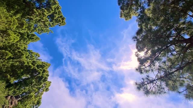 Music for #Relaxation, #Study, #Meditation .[Concentration, Study]