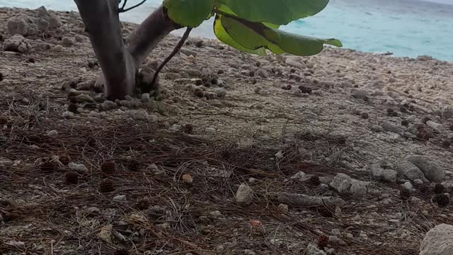 I was sitting in the beach and I got this video