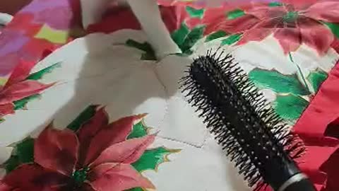 Cat is afraid of the hairbrush