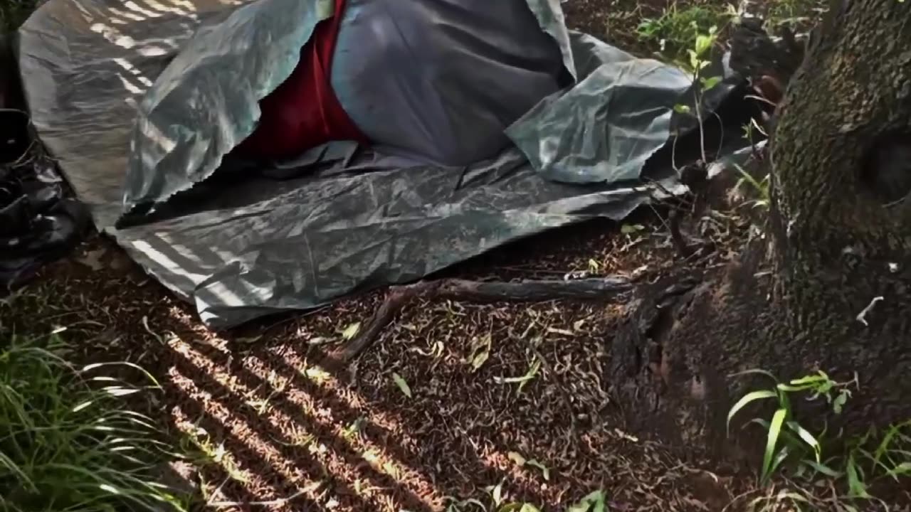 Homeless Man Thought he was Dreaming