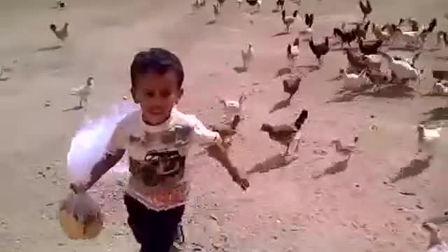 Kid running away from chickens