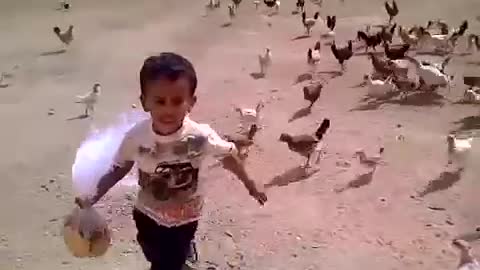 Kid running away from chickens