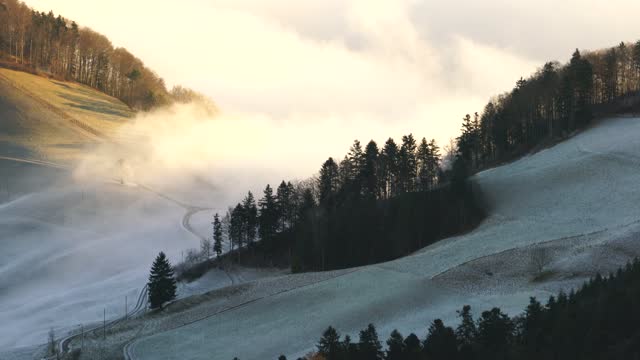 Beautiful Foggy Mountain