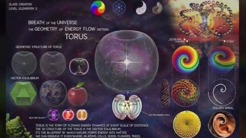 The Torus is the Nature of Reality...