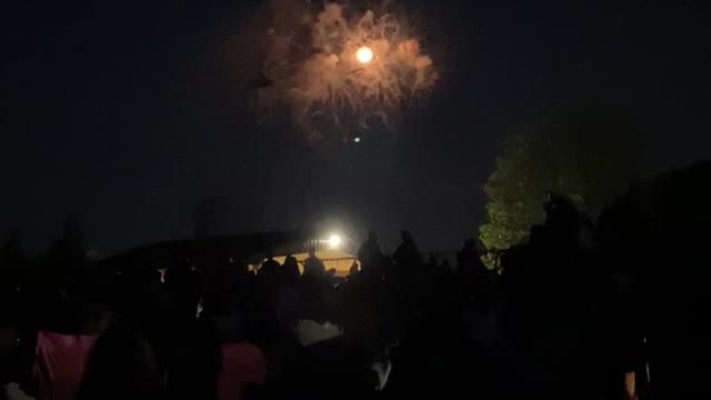 BEAUTIFUL FIREWORKS