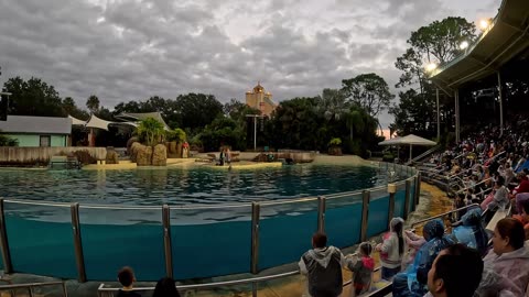 Dolphin Show Christmas time, SeaWorld Orlando, GoPro Hero 12