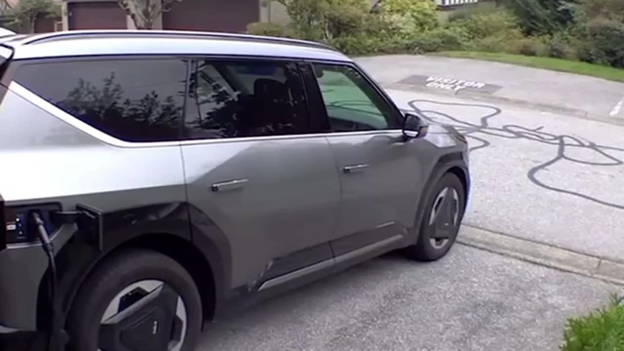 A sudden neighbor appeared: a Canadian found a bear with cubs in his garage.