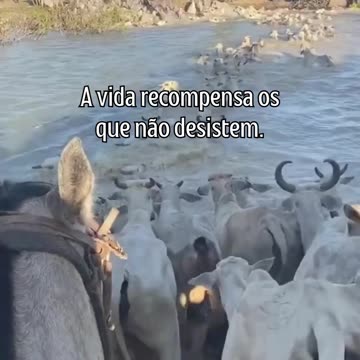 O caminho é longo, mas a recompensa vale a pena.