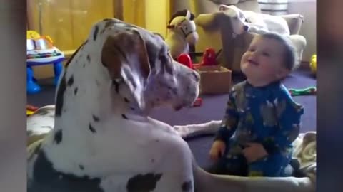 Funniest Kids And Animals Compilation Ever | Funny Pet Videos