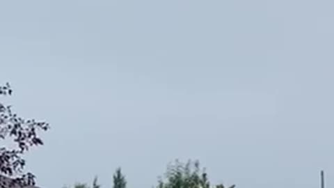 #shorts #black #bird calling & #flying 🦅 #nature #raven #crow, #blackbird #birdsounds #birds #animal