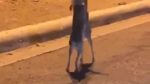So Funny Street