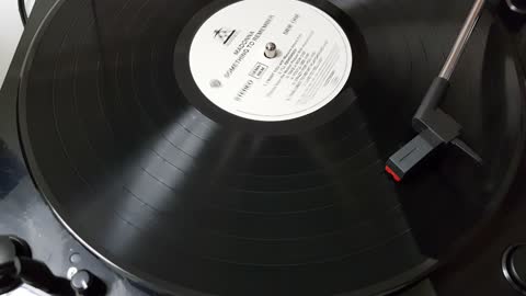MADONNA_You'll See (Something to Remember 1995)_LP_Vinyl