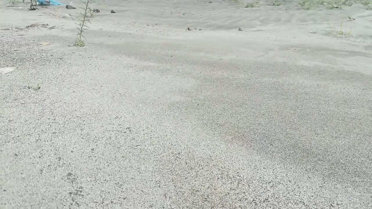 Beautiful spectacle of a beach