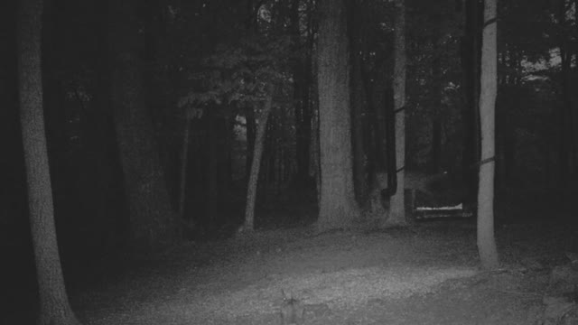 The Woods - 04/27/2021