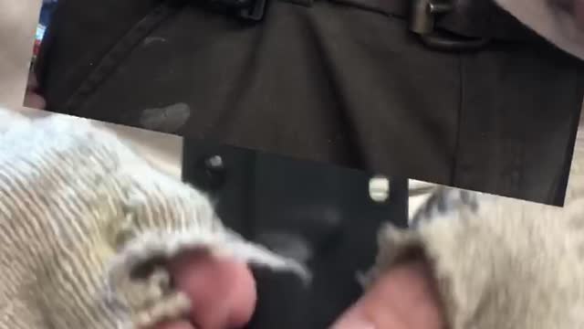 LT Wright Patriot kydex sheath Pocket carry and more