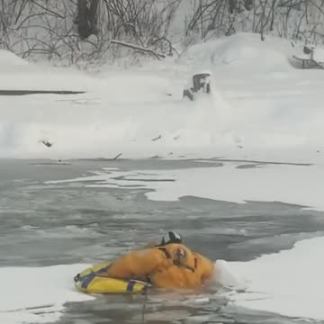 Rescuer Jumps into Freezing River To Save Dog Life